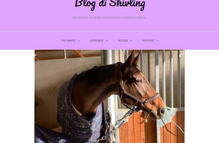 Blog di Shivling